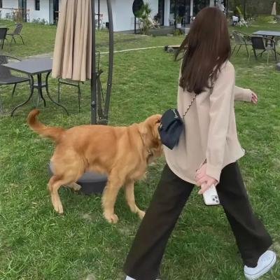 伯德小姐
